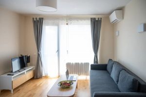 Contemporary One-Bedroom Apartment